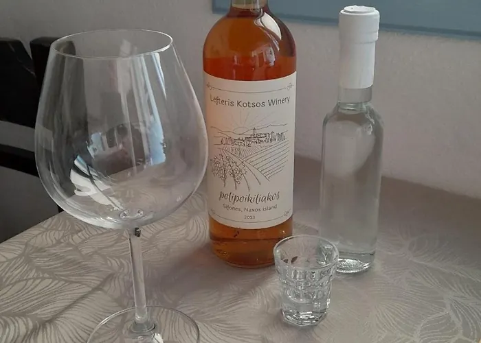 Vakantiehuis Panermos House